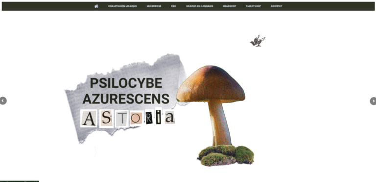 site web mycotrop