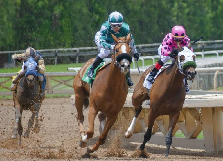 pronostic sur les chevaux