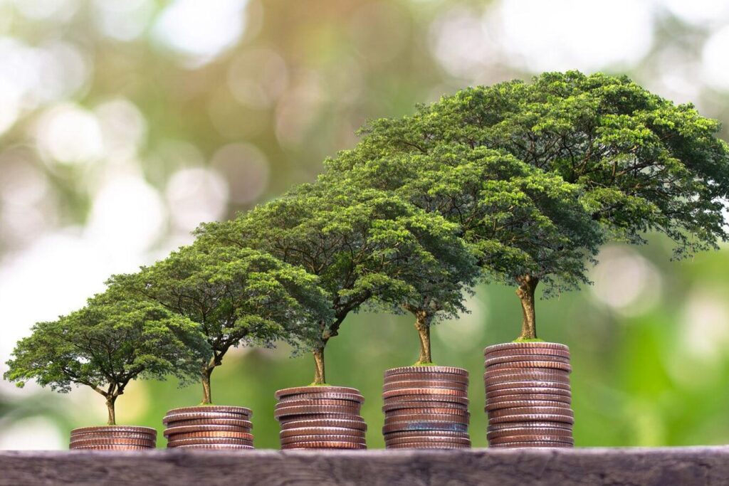 Comment le respe économique peut-il être un moteur de croissance durable ?