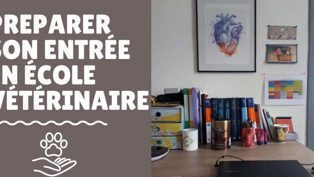 Comment réussir son entrée en école vétérinaire ?