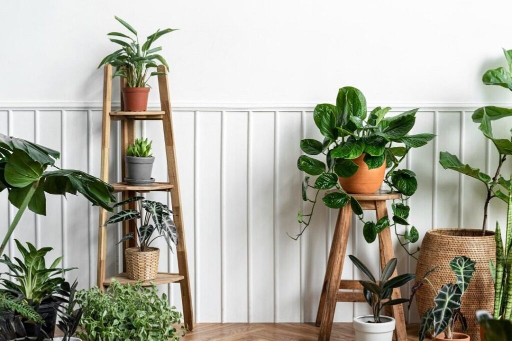 Les plantes artificielles sont elles réalistes ?