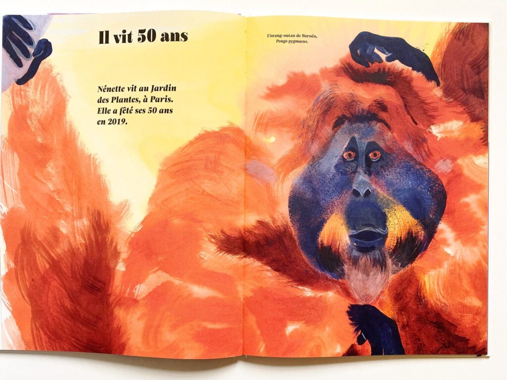 Libreria italienne et française : 10 pépites littéraires introuvables en grande surface que seules ces librairies peuvent vous offrir
