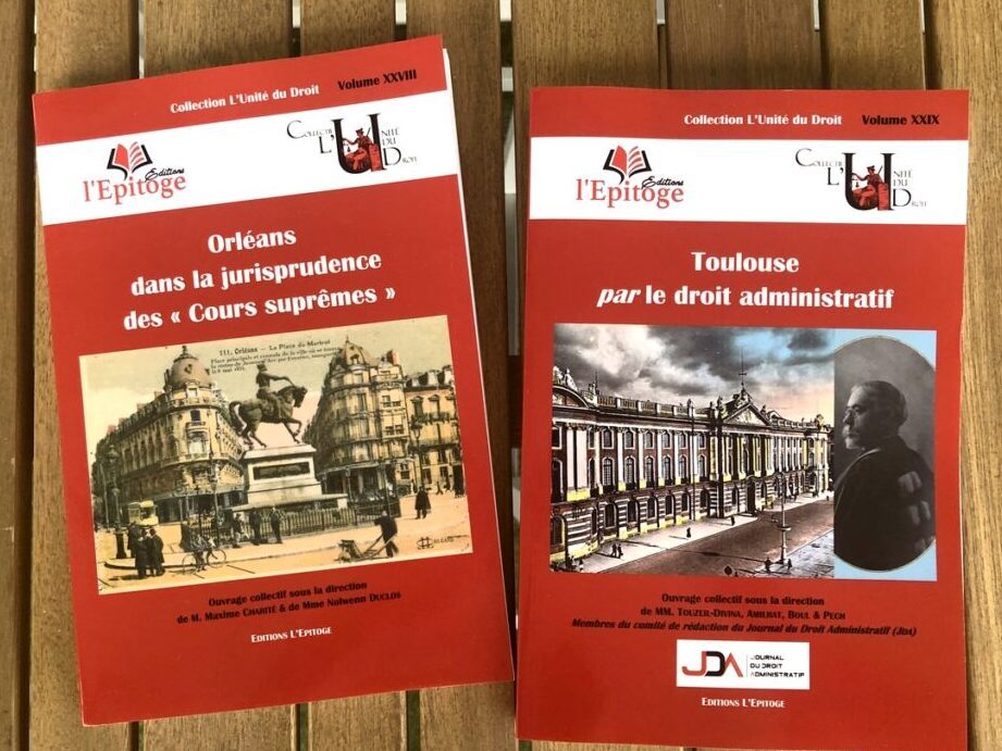 maurice hauriou et les fondements de la théorie institutionnelle en droit public