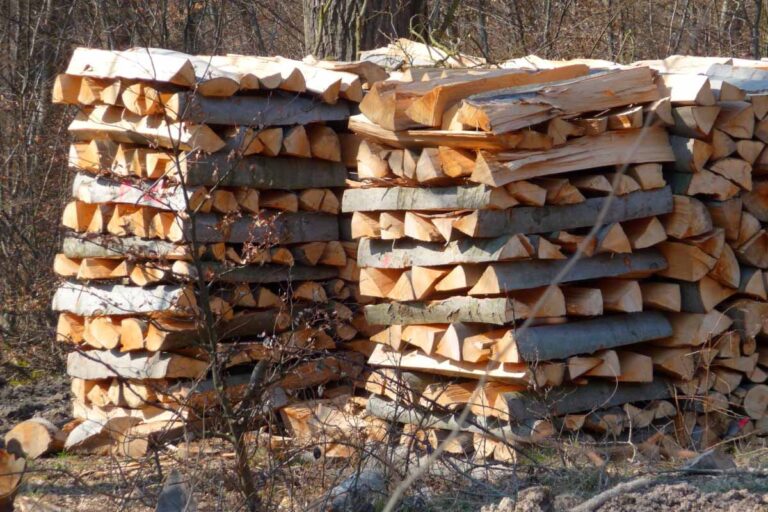Mesure précise d’un stère de bois empilé avec des bûches calibrées