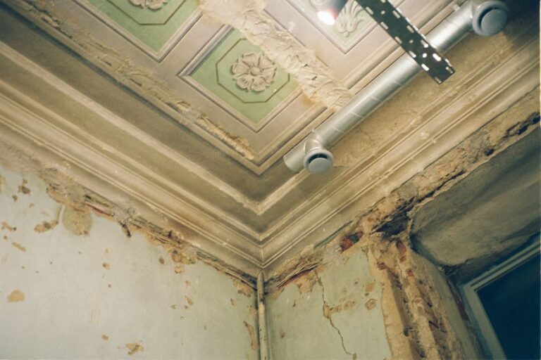Moisissure visible sur un mur d'appartement suite à une infiltration d'eau