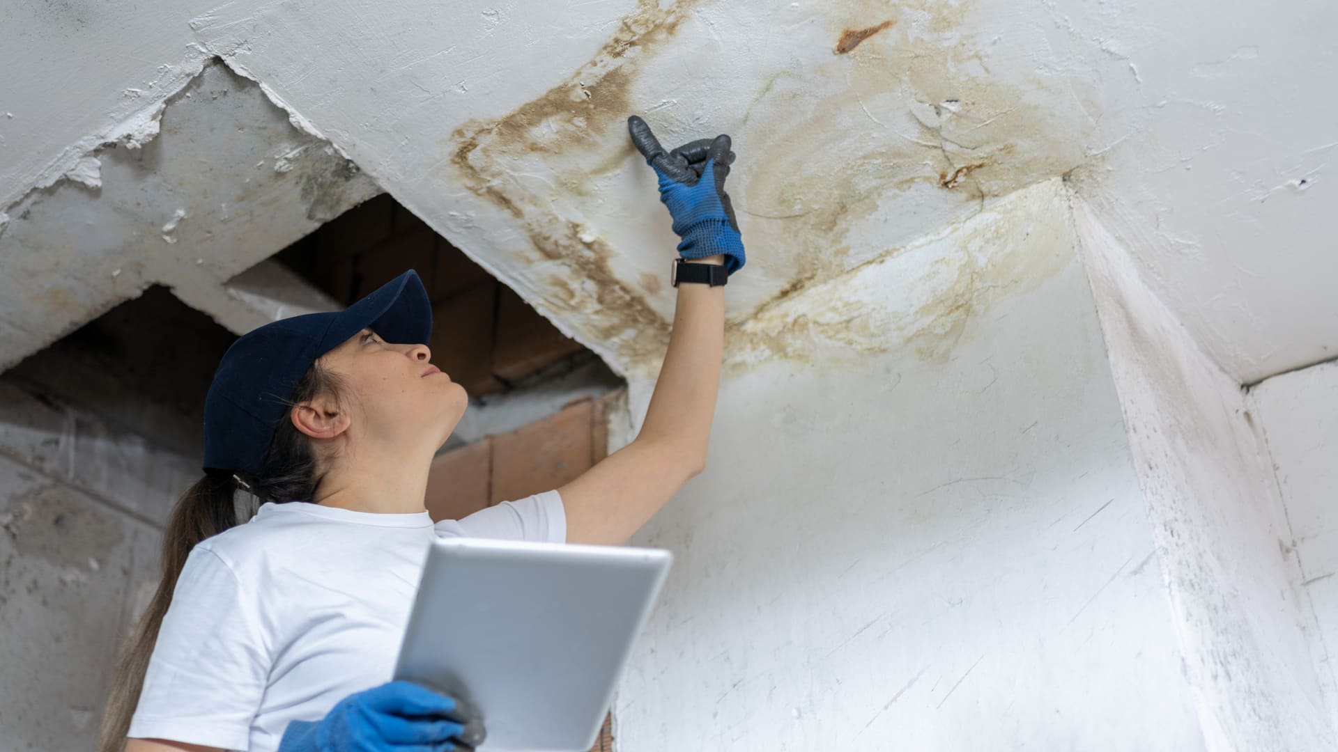 Moisissures sur mur - humidité appartement