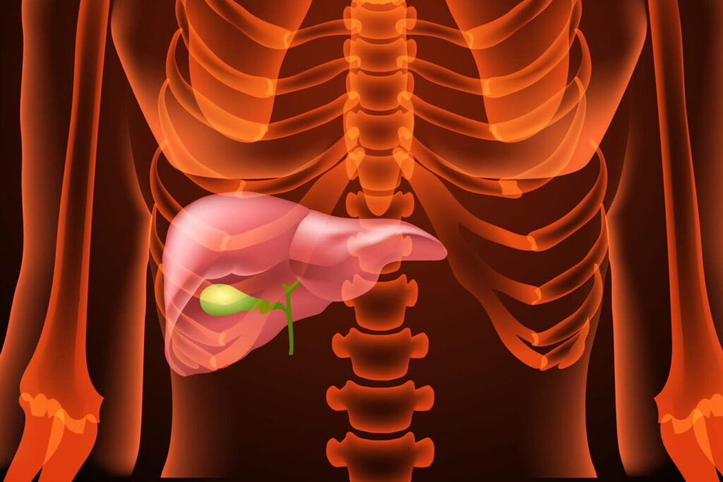 Pourquoi est-ce que je vomis de la bile ? Causes et traitements