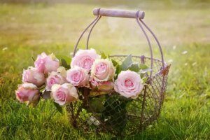 réoudre un problème de paiement cb sur florajet.com