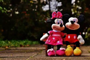pourquoi un problème de paiement sur disneyland.fr