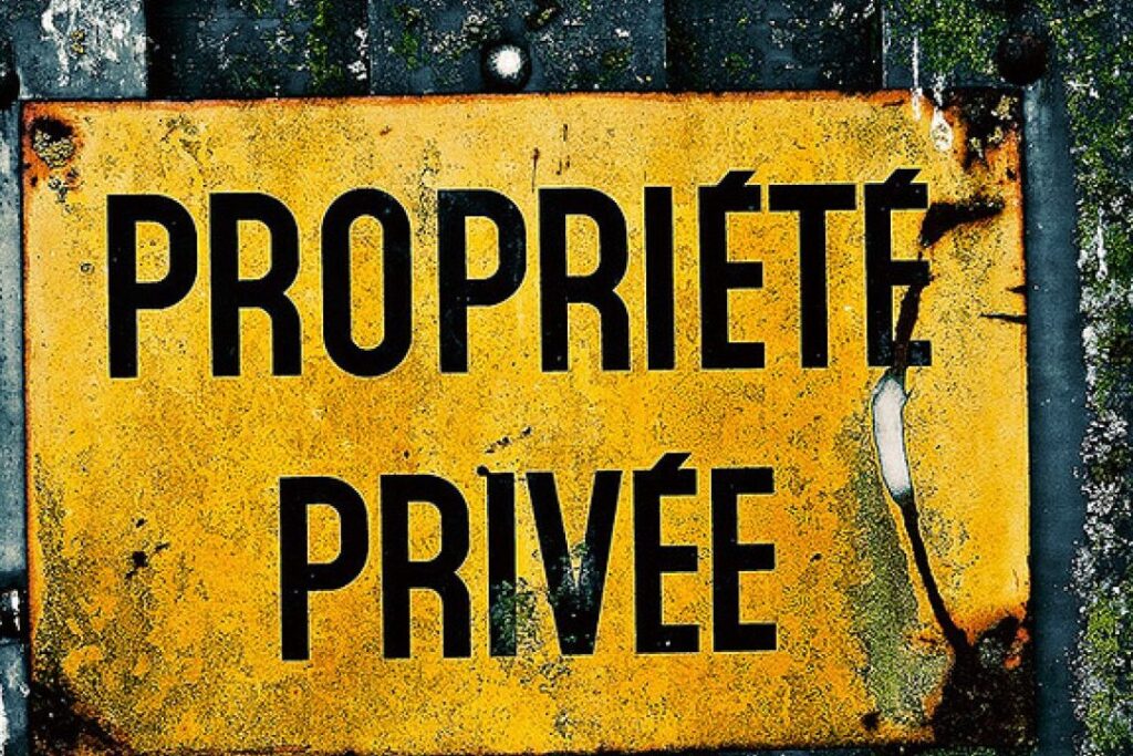 Quelle est la définition de la liberté collective dans le contexte économique actuel ?