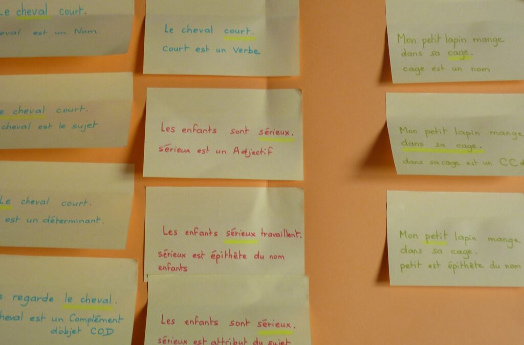 Quels sont les adjectifs épithètes les plus utilisés en français ?